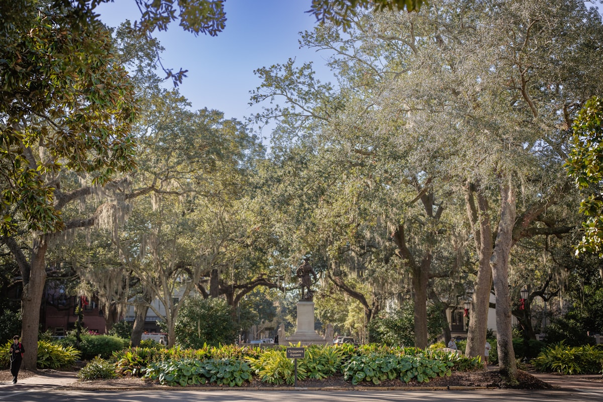 A park with trees, bushes, and a bench related to Exploring Bed Bath and Beyond in Savannah, GA