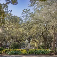 A park with trees, bushes, and a bench related to Exploring Bed Bath and Beyond in Savannah, GA
