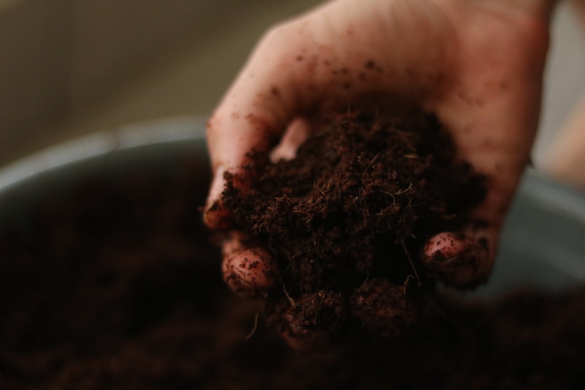 a person holding a handful of dirt in their hand related to Choosing the Optimal Soil for Raised Bed Gardening