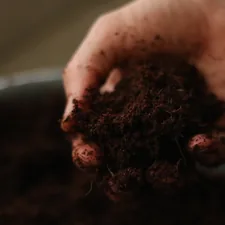 a person holding a handful of dirt in their hand related to Choosing the Optimal Soil for Raised Bed Gardening