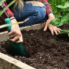 A person is digging soil in a raised garden bed. related to Building Your Dream Garden with DIY Raised Beds