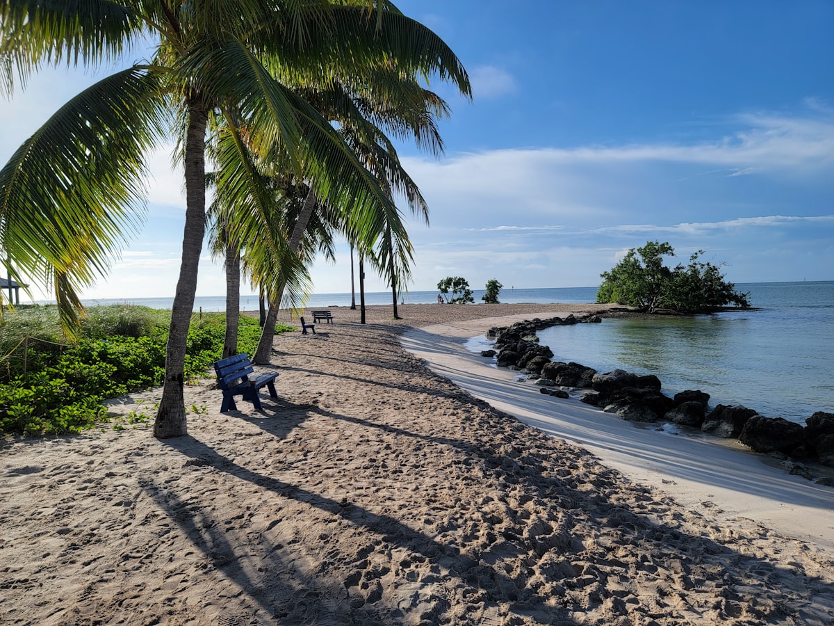 a person sitting on a bench under a palm tree related to Discover the Charm of Bed and Breakfasts in the Florida Keys
