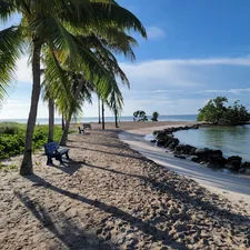 a person sitting on a bench under a palm tree related to Discover the Charm of Bed and Breakfasts in the Florida Keys