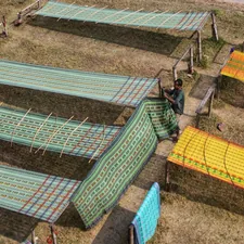 a person standing on a roof related to The Advantages of Fabric Raised Garden Beds for a Thriving Harvest