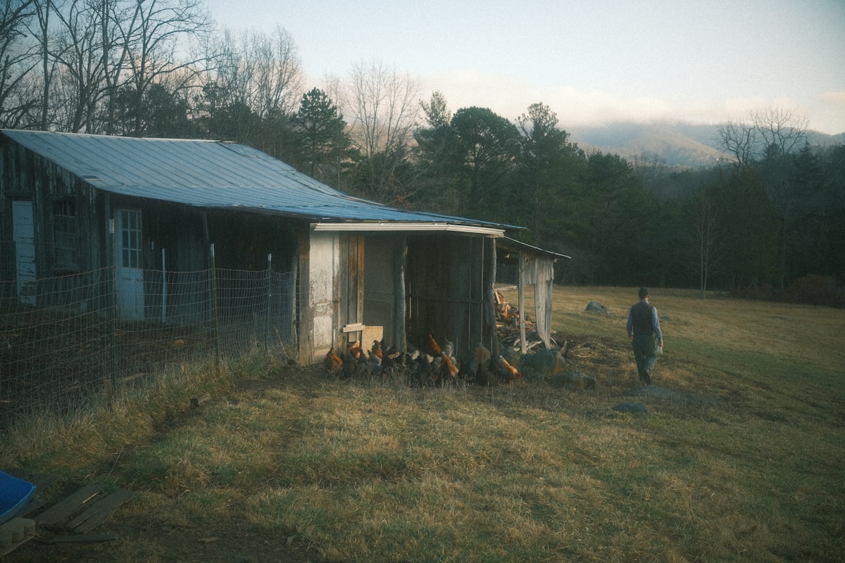 A person walks toward a rustic barn. related to Discover the Charm of Asheville Bed and Breakfasts