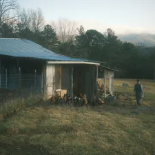 A person walks toward a rustic barn. related to Discover the Charm of Asheville Bed and Breakfasts