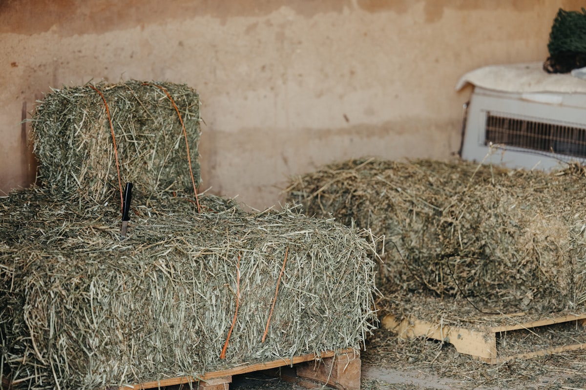 a pile of hay sitting on top of a wooden pallet related to Discover the Best Bale Beds for Sale: Your Ultimate Guide