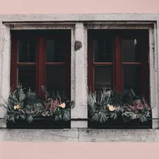 a pink building with two windows filled with plants related to Valances for Windows Ideas
