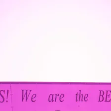 a pink sign that says yes we are the best related to How to Choose the Best Bed Bug Couch Cover at Walmart