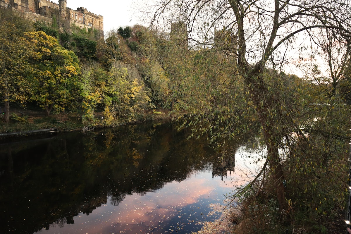 a river running through a lush green forest related to Exploring Bed Bath & Beyond in Durham, NC: A Shopper's Guide