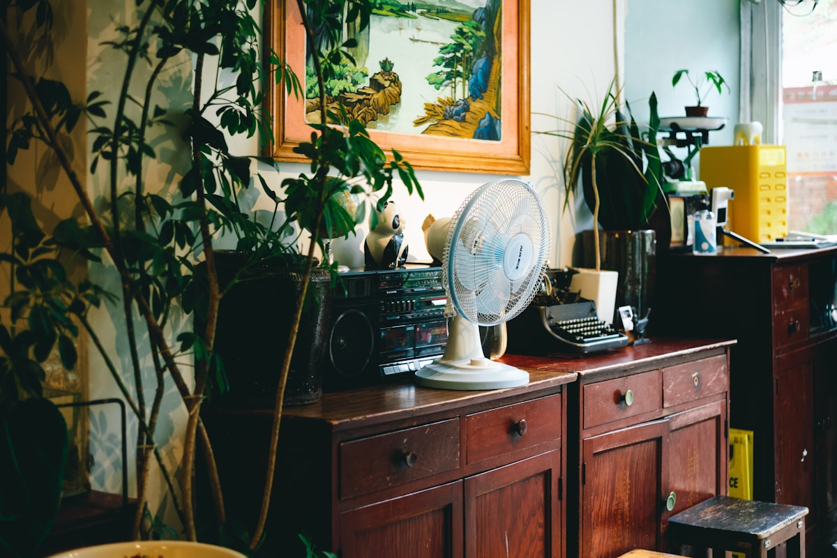 a room with a fan and plants related to Vintage Sideboards and Buffets: A Guide to Finding the Perfect Piece