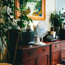 a room with a fan and plants related to Vintage Sideboards and Buffets: A Guide to Finding the Perfect Piece