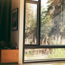 a room with a view of a forest outside the window related to Elevate Your Windows with Custom Valances