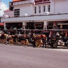a row of horses pulling carriages down a street related to Charming Getaway Experience at a Country Bed and Breakfast