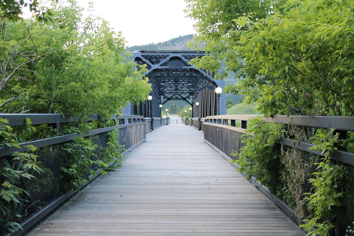 A scenic walkway on a metal bridge with wooden planks is framed by lush green foliage on either side. The bridge's black iron framework stands out against the verdant backdrop, with lampposts lining the path, creating a serene and inviting atmosphere. The path leads towards a distant, tree-covered hill. related to Discover the Charm of Missoula Bed and Breakfasts