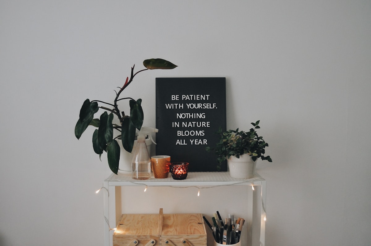 a shelf with a plant and a sign on it related to Elevate Your Decor with Victory Swag Valances