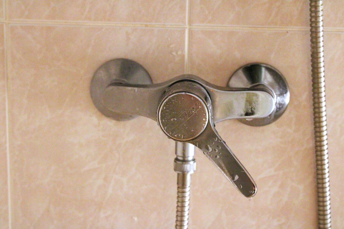 A shower faucet with a hand shower head related to How to Install a Bidet: A Step-by-Step Guide