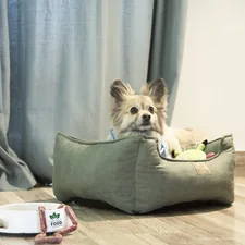 a small dog sitting in a dog bed on the floor related to 10 Reasons to Invest in a High-Quality Small Dog Bed