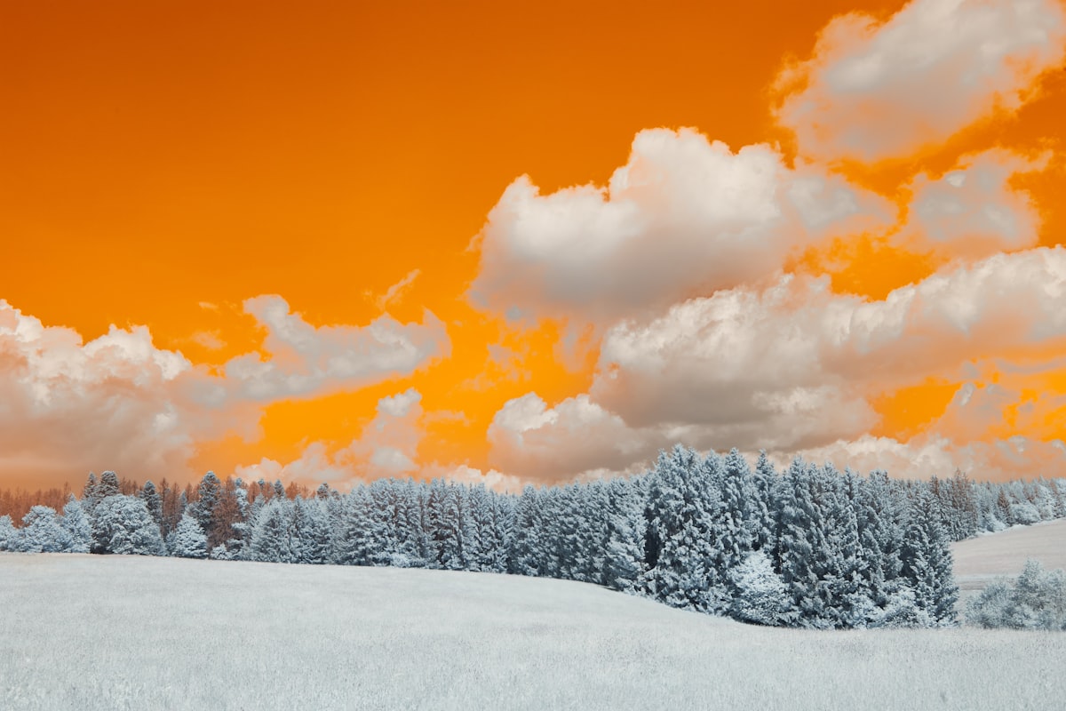a snow covered field with trees under a cloudy sky related to Encompassing Warmth: A Comprehensive Guide to Extra Large Clay Chimineas