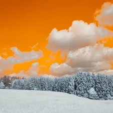 a snow covered field with trees under a cloudy sky related to Encompassing Warmth: A Comprehensive Guide to Extra Large Clay Chimineas