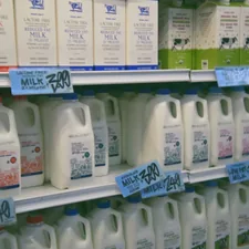 A store shelf filled with lots of milk related to Top Picks for Milk Frothers at Bed Bath & Beyond