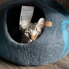 A tabby cat peeking out of a felt cat bed. related to Snoozer Cozy Cave Pet Bed: The Ultimate Comfort for Your Furry Friend