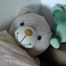 a teddy bear sitting next to a stuffed frog related to How to Build the Perfect Bear Bed for Your Furry Friend
