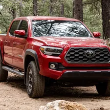 A Toyota Tacoma sitting by trees on the Mt. Lemmon Hiking Trail related to Toyota Tacoma Bed Size Information