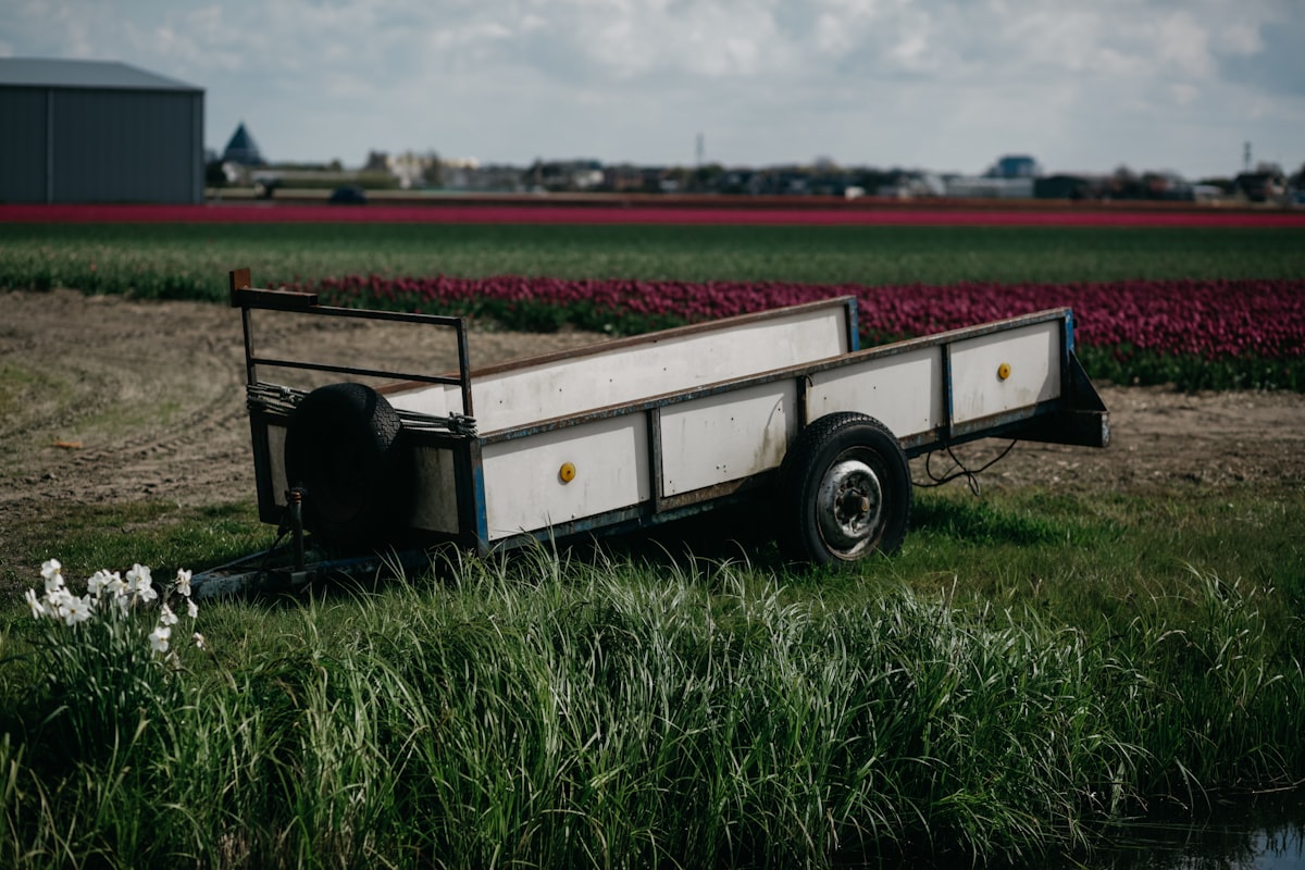 A trailer parked in a field next to a body of water related to The Ultimate Guide to Choosing the Right Pickup Bed Trailer