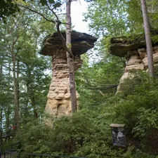 a tree with a large trunk related to Top Wisconsin Dells Bed and Breakfasts for a Cozy Getaway