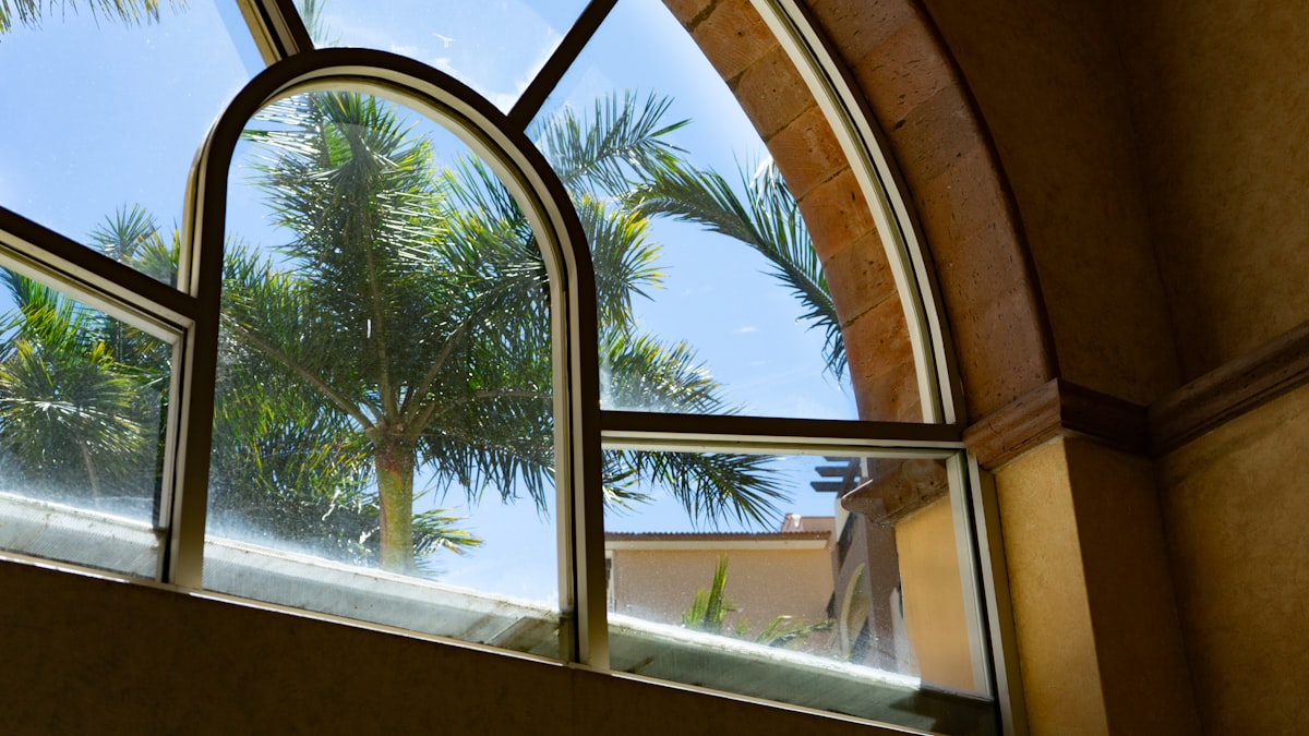 a view of a palm tree through an arched window related to Shaped Valances for Windows: Elevate Your Home Decor