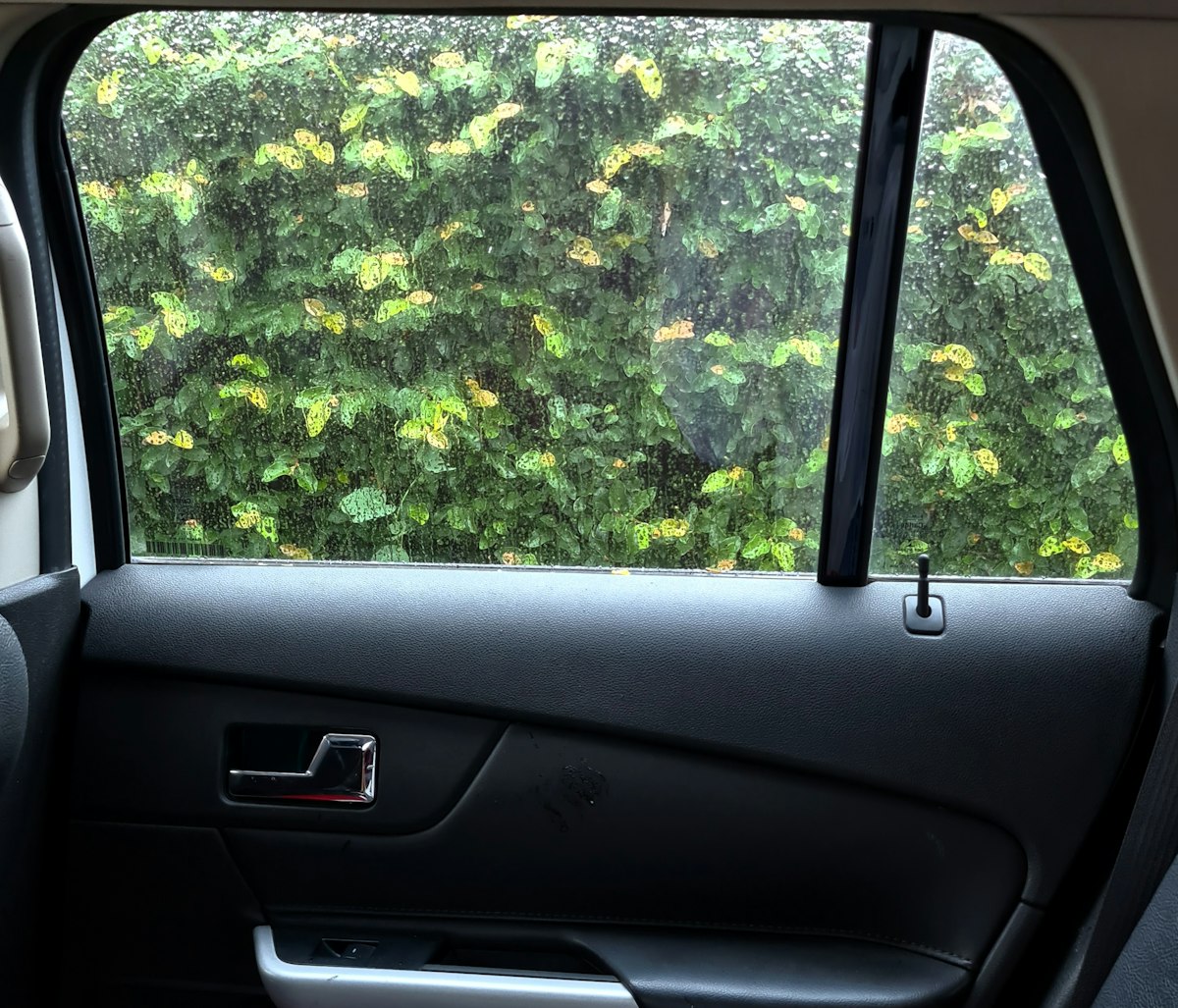 a view of a tree through a car window related to The Evolution of Back Tab Valance