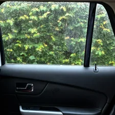 a view of a tree through a car window related to The Evolution of Back Tab Valance