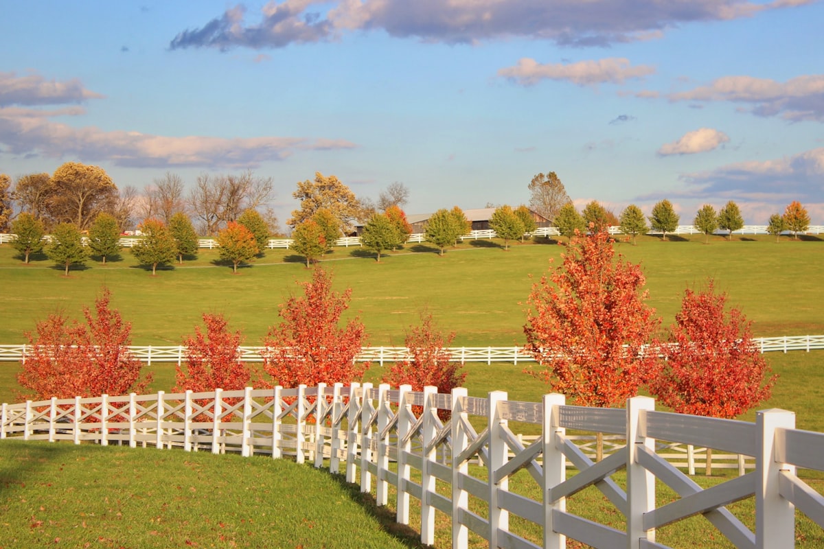 a white fence in front of a green field related to Discover Kentucky’s Charming Bed and Breakfasts