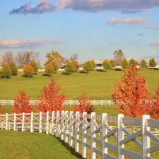 a white fence in front of a green field related to Discover Kentucky’s Charming Bed and Breakfasts