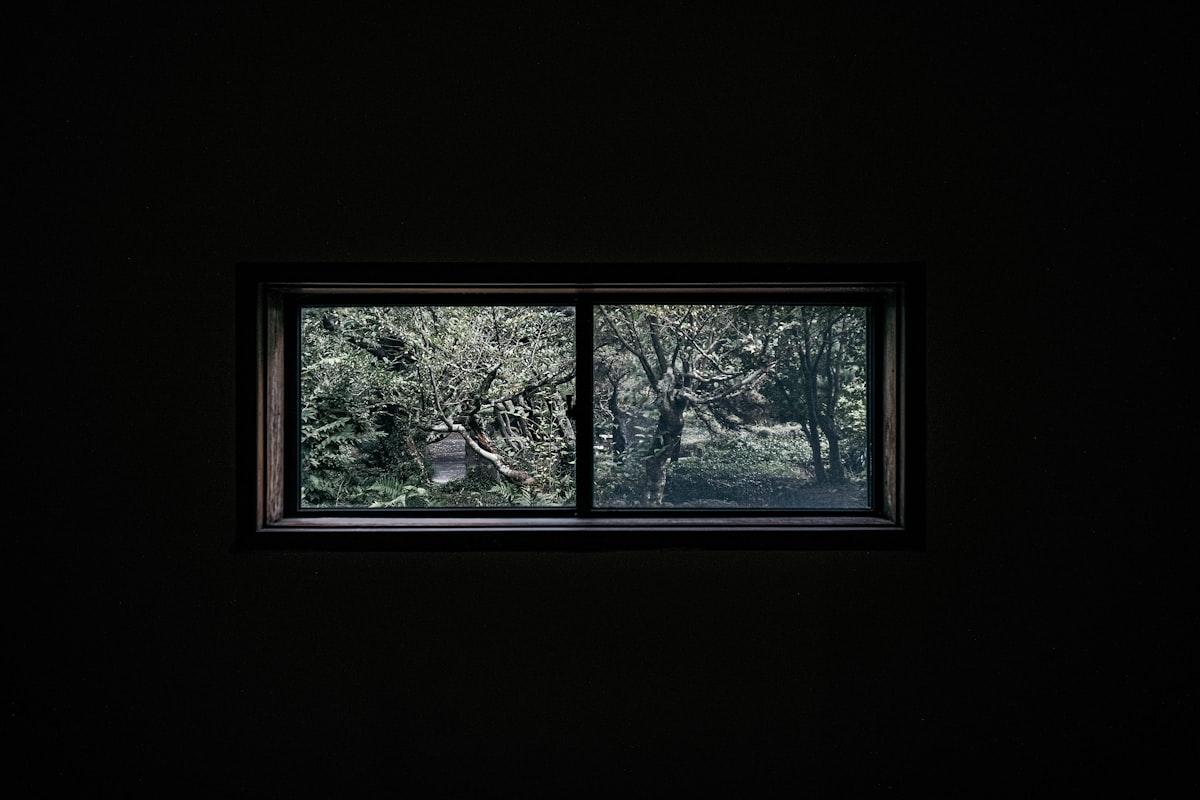 a window in a dark room with trees outside related to Pictures of Window Valances: A Comprehensive Guide