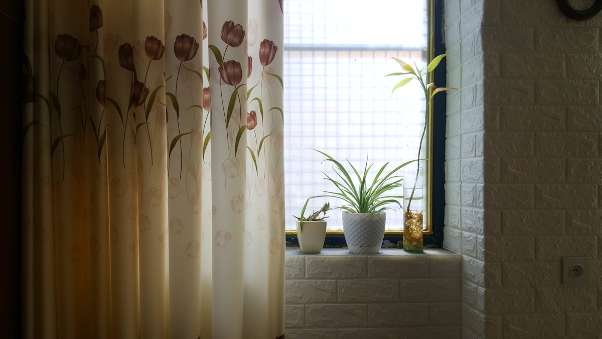 a window with a curtain and potted plants related to Finding the Perfect Match: Shower Curtain and Valance Combos