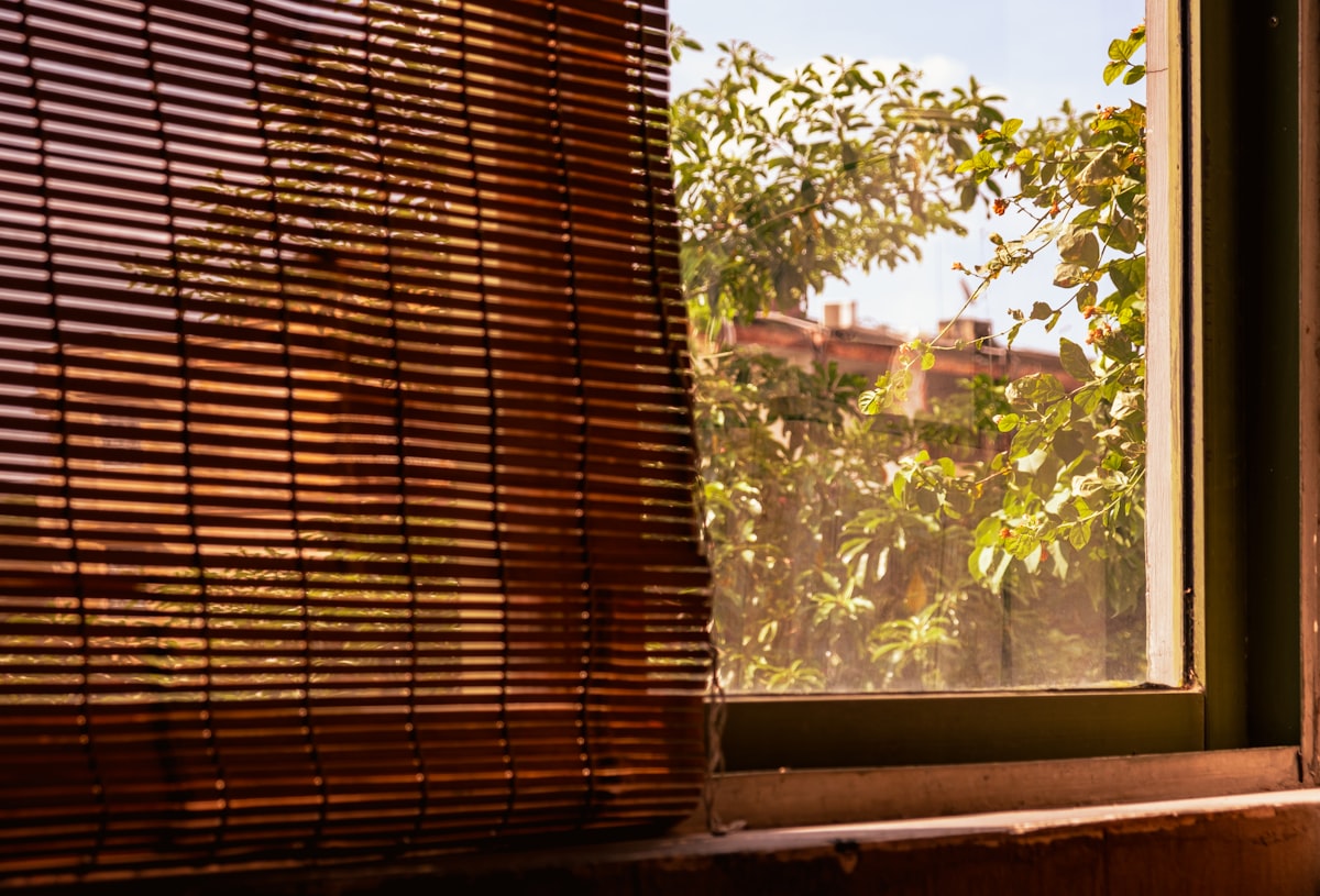 a window with a tree outside related to Bamboo Grommet Valance: Elevate Your Window Decor