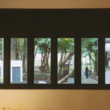 a window with a view of a tree outside related to Black Window Valance