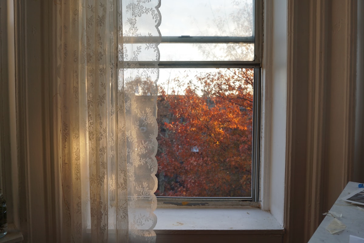 a window with a view of a tree outside related to Shower Curtain with Matching Window Valance: A Comprehensive Guide