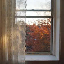 a window with a view of a tree outside related to Shower Curtain with Matching Window Valance: A Comprehensive Guide