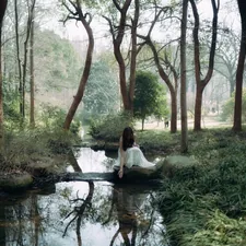 a woman in a white dress sitting on a rock in a forest related to Discover the Tranquil Charm of Blisswood Bed and Breakfast