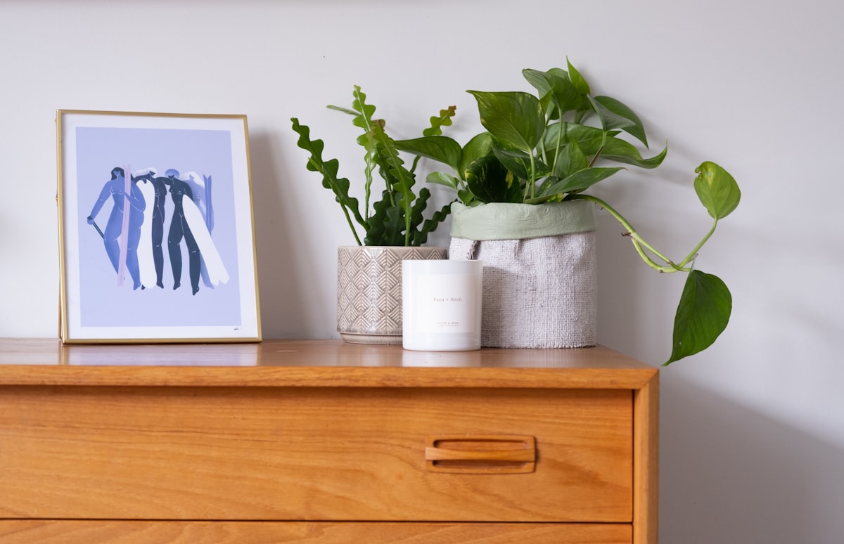 a wooden dresser topped with a potted plant next to a picture related to Elevate Your Home with Mid Century Modern Sideboard Buffet