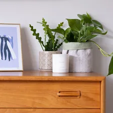 a wooden dresser topped with a potted plant next to a picture related to Elevate Your Home with Mid Century Modern Sideboard Buffet