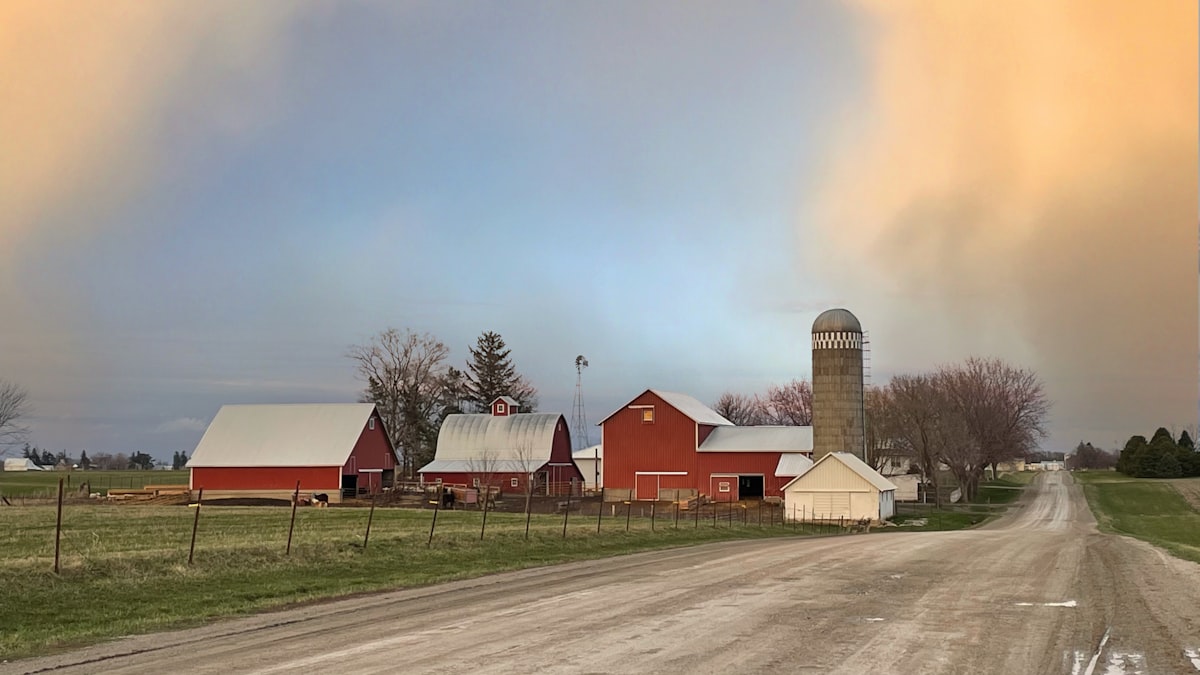 An Amish farm in Iowa after a rain related to Experience Charm and Comfort: A Guide to Bed and Breakfasts in Iowa