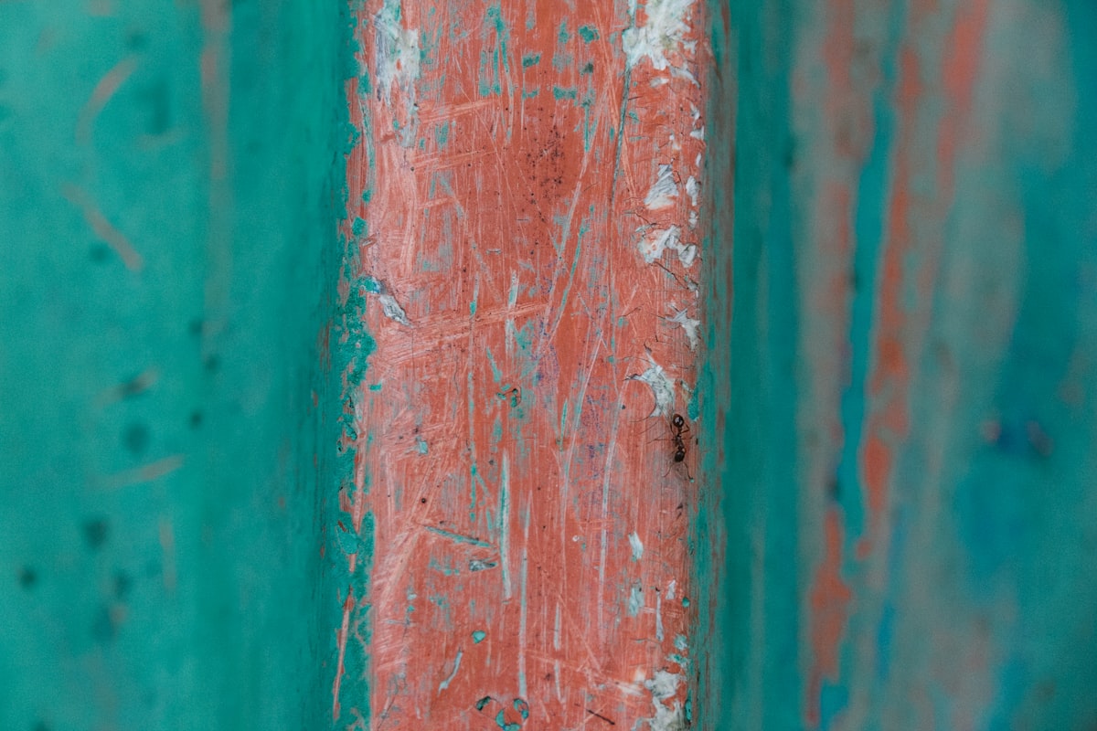 Ant on a boat keel, green/red contrast related to Dive into a Dream: Coral and Turquoise Bedding Collection