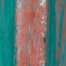 Ant on a boat keel, green/red contrast related to Dive into a Dream: Coral and Turquoise Bedding Collection