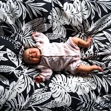 baby in pink onesie lying on black and white zebra print textile related to Creating a Safe Haven: Choosing the Perfect Baby Crib Bedding