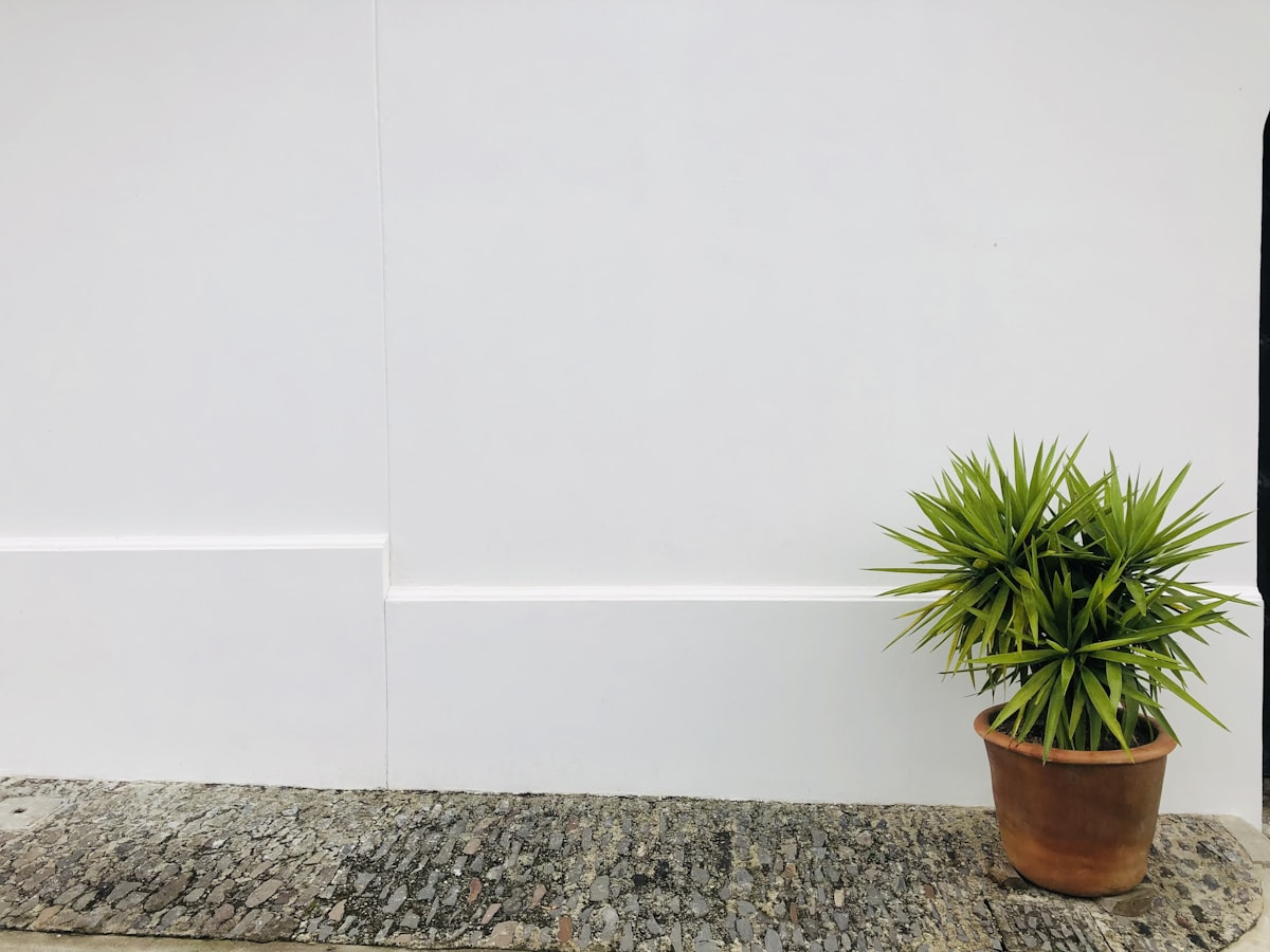 Background related to Elevate Your Home with Style: White Gloss Sideboards