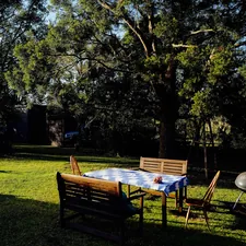 Backyard picnic table with barbecue grill and chickens. related to Unlocking the Charm of Outdoor Living with Blue Rooster Prairie Chiminea